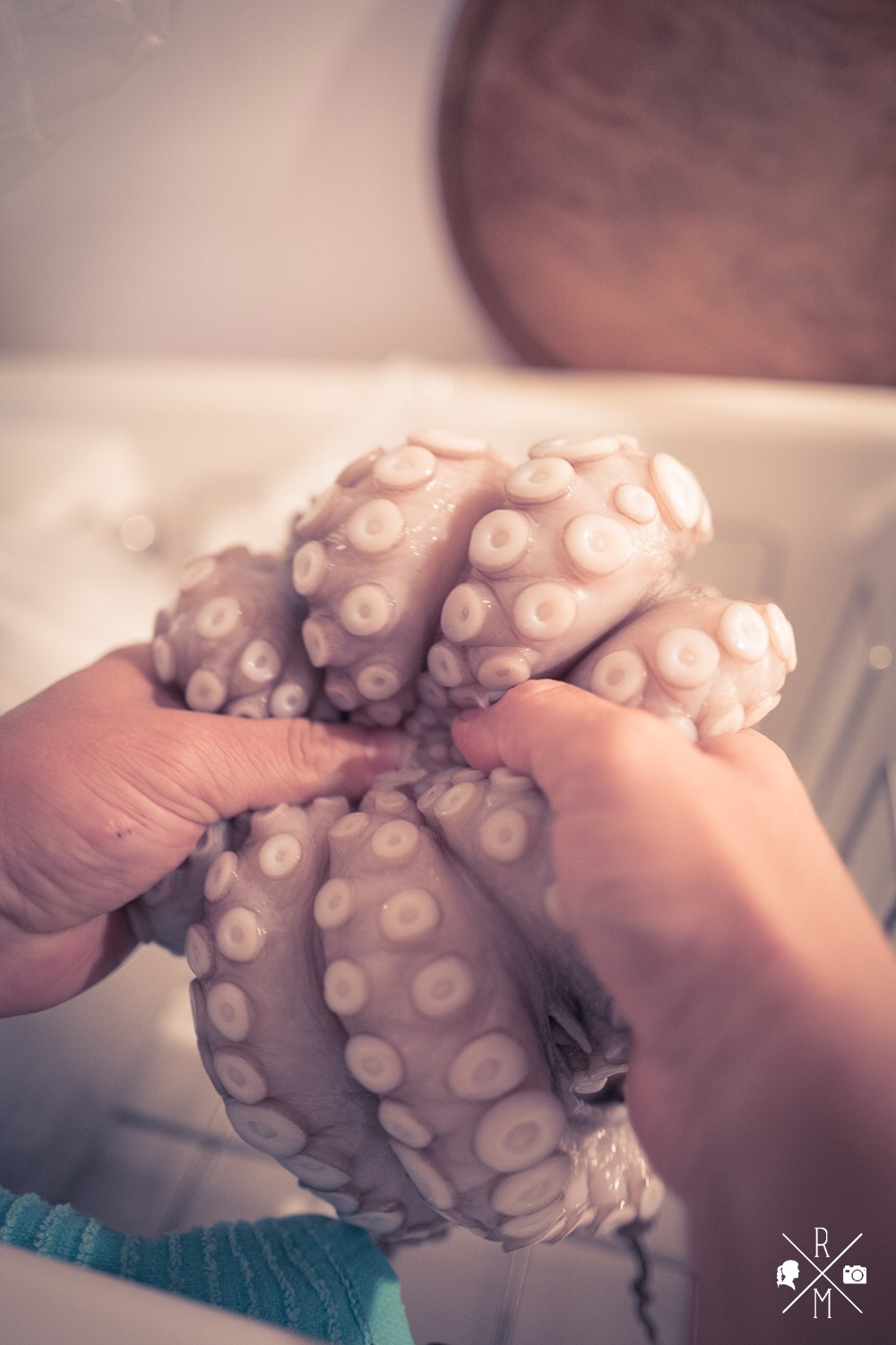 Oktopus Fenchel Salat mit Blutorangen | relleomein.de