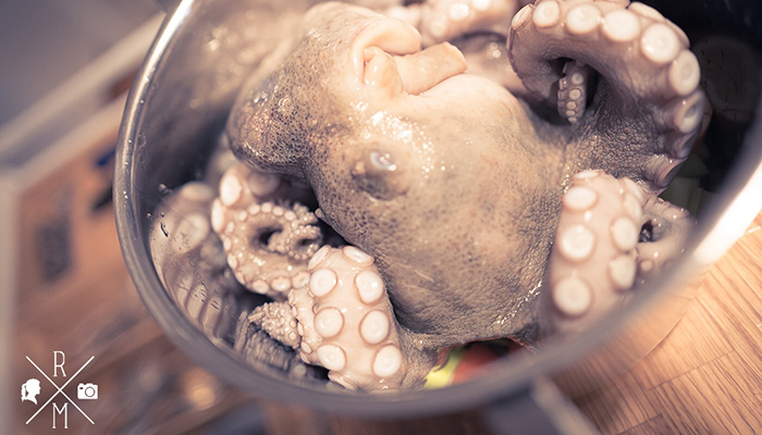 Oktopus Fenchel Salat mit Blutorangen | relleomein.de